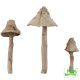 Tim Holtz Idea-Ology - Resin Toadstools 3 Pack Mixed Media