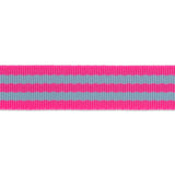 Tula Pink Webbing - 1 Wide Hot & Aqua Nylon