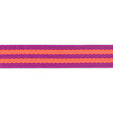 Tula Pink Webbing - 1 Wide Plum & Watermelon Nylon