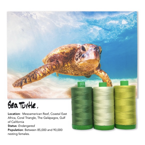 Aurifil 40Wt Color Builders - Sea Turtle Thread