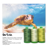 Aurifil 40Wt Color Builders - Sea Turtle Thread