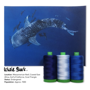 Aurifil 40Wt Color Builders - Whale Shark Thread