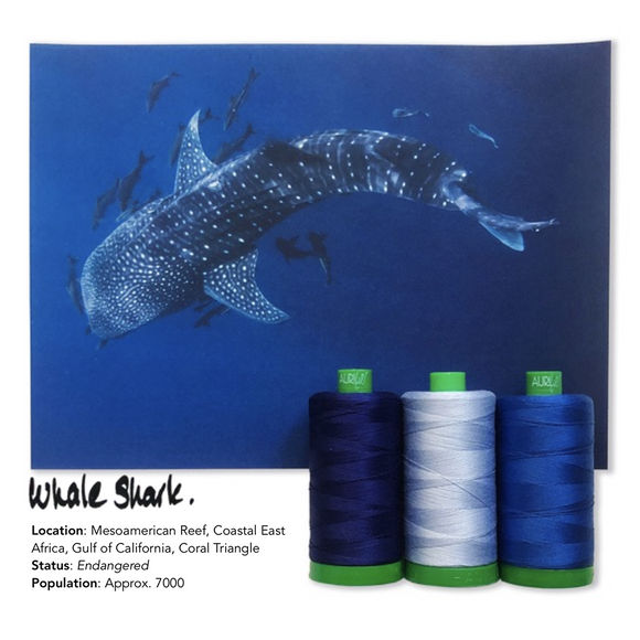 Aurifil 40Wt Color Builders - Whale Shark Thread