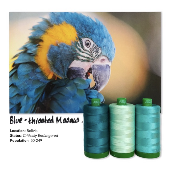 Aurifil 40Wt Color Builders - Blue Throated Macaw Thread