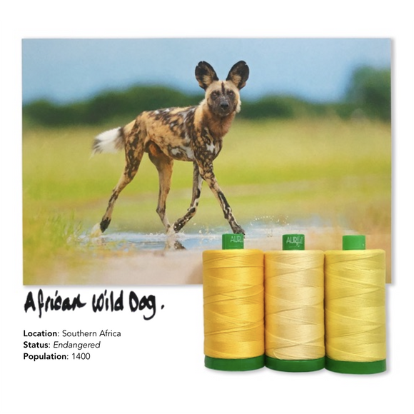 Aurifil 40Wt Color Builders - African Wild Dog Thread