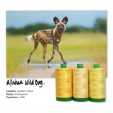 Aurifil 40Wt Color Builders - African Wild Dog Thread