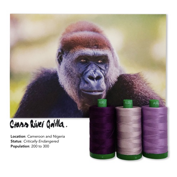 Aurifil 40Wt Color Builders - Cross River Gorilla Thread