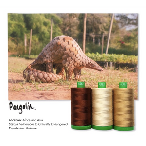 Aurifil 40Wt Color Builders - Pangolin Thread