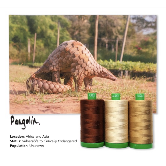 Aurifil 40Wt Color Builders - Pangolin Thread