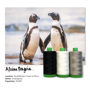 Aurifil 40Wt Color Builders - African Penguin Thread