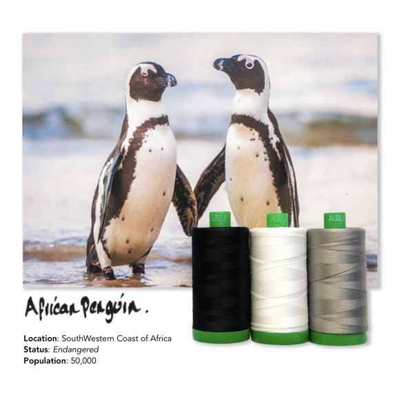 Aurifil 40Wt Color Builders - African Penguin Thread