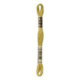 Dmc Cotton Embroidery Floss (806-989) 834 - Very Light Golden Olive