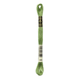 Dmc Cotton Embroidery Floss (806-989) 989 - Forest Green