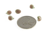 Lamp Bead Teardrop Mini - 7mm Earthy Delight - pack of 5 - Unicorne Beads - Craft de Ville