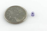 Superduo 2 Hole Seedbead - Tanzanite - 2.5X5mm - Matubo - Craft de Ville