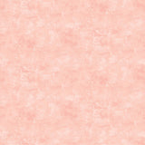 Northcott Studio - Canvas Print - Blush