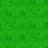 Northcott Studio - Canvas Print - Astro Turf