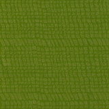 Preorder July - Carolyn Friedlander Languid 21083 Avocado Fabric