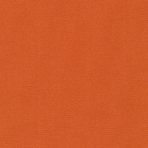 Big Sur Canvas - Orange