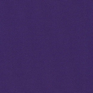 Big Sur Canvas - Purple