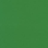 Coton Kona - Wander - COTY 2026