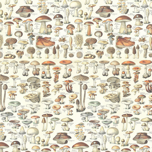 PREORDER - Tim Holtz - Palette - Orange Toadstools