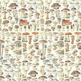 PREORDER - Tim Holtz - Palette - Orange Toadstools