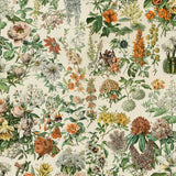 PREORDER FEBRUARY - Tim Holtz - Palette - Orange Botanical