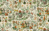 PREORDER FEBRUARY - Tim Holtz - Palette - Orange Botanical