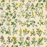 PREORDER FEBRUARY - Tim Holtz - Palette - Yellow Botanical