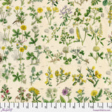 PREORDER FEBRUARY - Tim Holtz - Palette - Yellow Botanical
