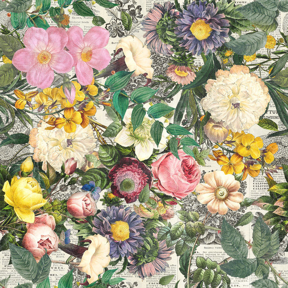 PREORDER - Tim Holtz - Palette Curated - Quilt Backing 108