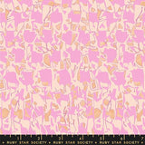 PREORDER JULY - Carolyn Friedlander - Memento - Full Collection Bundle