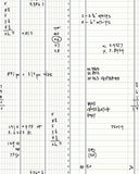 PREORDER JULY - Carolyn Friedlander - Memento - Ledger in Cream Soda