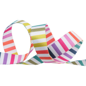 PREORDER APRIL - Tula Pink Webbing - 1" wide - Tabby Road Disco Stripe