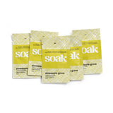 Mini Soak - Soak Wash - Craft de Ville