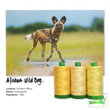 Aurifil 40Wt Color Builders - African Wild Dog Thread