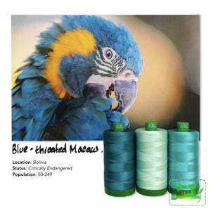 Aurifil 40Wt Color Builders - Blue Throated Macaw Thread