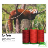 Aurifil 40Wt Color Builders - Red Panda Thread