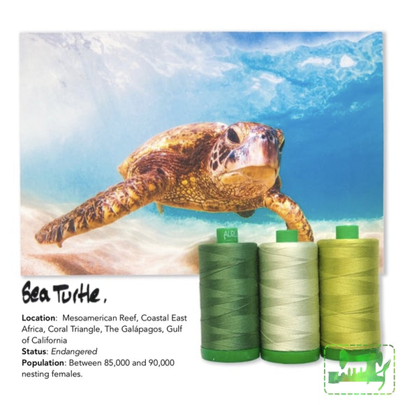 Aurifil 40Wt Color Builders - Sea Turtle Thread