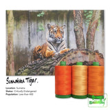Aurifil 40Wt Color Builders - Sumatran Tiger Thread