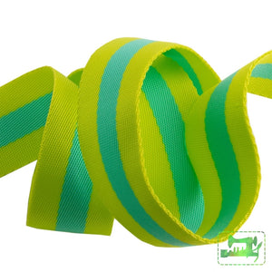 Preorder November - Tula Pink Webbing 1.5 Wide Lime & Turquoise Ribbons Cords