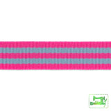 Tula Pink Webbing - 1 Wide Hot & Aqua Nylon